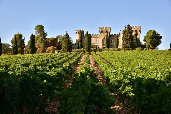 Bienvenue Chez Shiva Διαμέρισμα Châteauneuf-du-Pape Εξωτερικό φωτογραφία