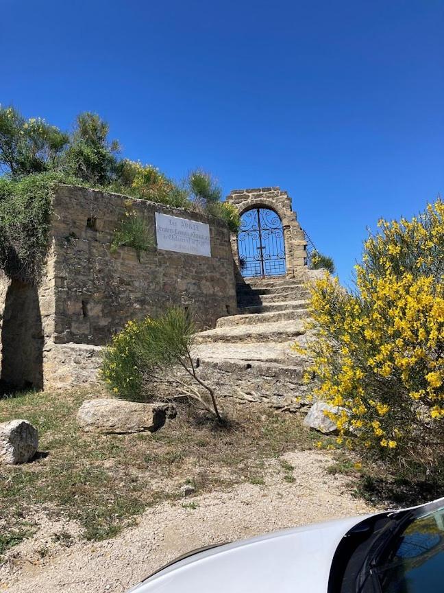 Bienvenue Chez Shiva Διαμέρισμα Châteauneuf-du-Pape Εξωτερικό φωτογραφία