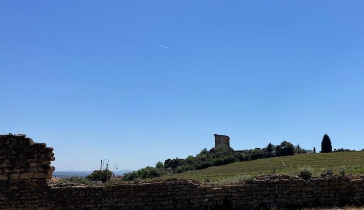 Bienvenue Chez Shiva Διαμέρισμα Châteauneuf-du-Pape Εξωτερικό φωτογραφία