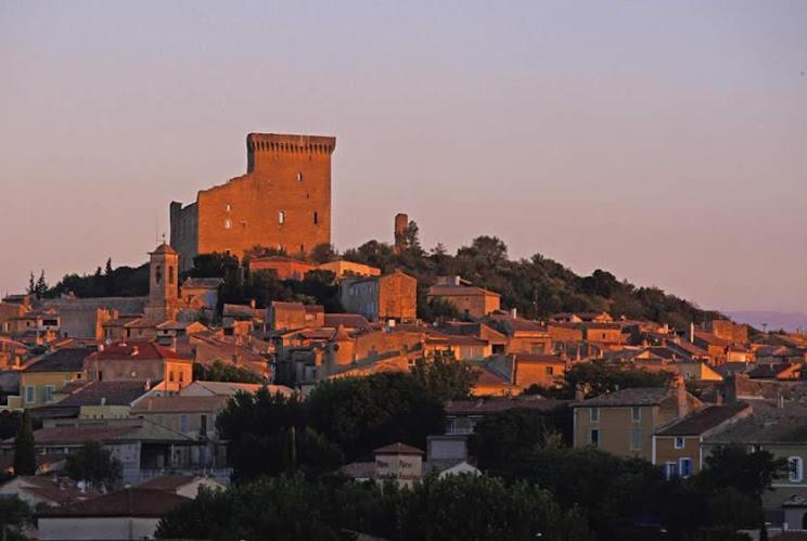 Bienvenue Chez Shiva Διαμέρισμα Châteauneuf-du-Pape Εξωτερικό φωτογραφία
